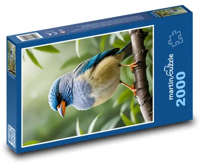 Obrázek produktu pro martinpuzzle - Puzzle 2000 - Tropický pták v džungli