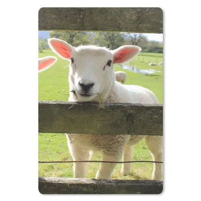 Produktbild von MuchoWow® Mauspad Mousepad Schafe - Tiere - Bauernhof 18x27 cm - Mousepads - Maus Mat - Pad - Mausunterlage