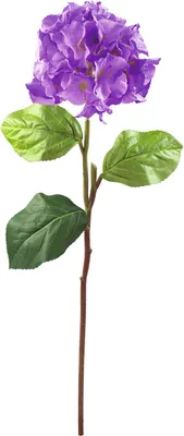 Image de EUROPALMS Branche d'hortensia, artificielle, lavande, 76cm (82530560)