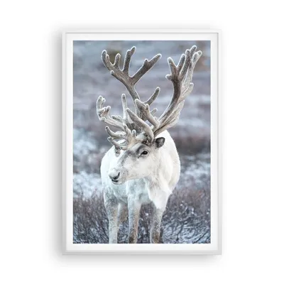 Produktbild von Gerahmtes Poster - Weißer Rahmen - Weiß Rentier Skandinavisch - 70x100 cm - Wand Bild - Wanddeko - Wandbilder - Kunstposter - Wandposter - Bilderrahmen - Bilder - Kunstdruck - P2WPA70x100-5156
