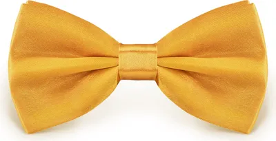Produktbild von Fliege Goldgelb Größe verstellbar aus Polyester einfarbig uni schmale 12 cm