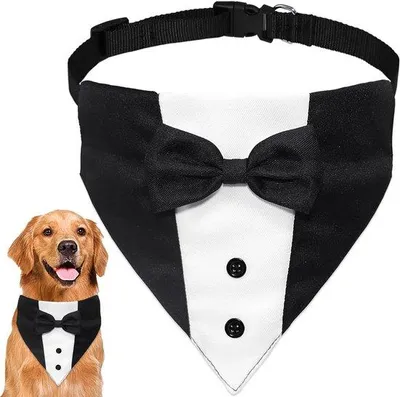 Obrázek produktu pro Psí obojek pro malé psy – S – nastavitelný – svatební bandana – 12,5" – 21" – černá a bílá