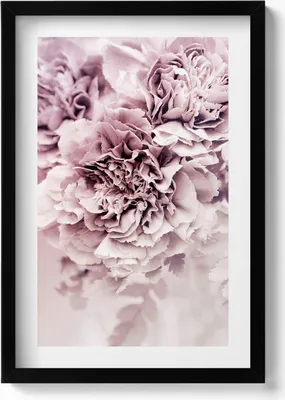 Produktbild von Blassrosa Pfingstrosenblüten– Wandbild mit Rahmen – Gerahmtes Bild  – Wanddekoration – 40x60 cm –  Schwarz