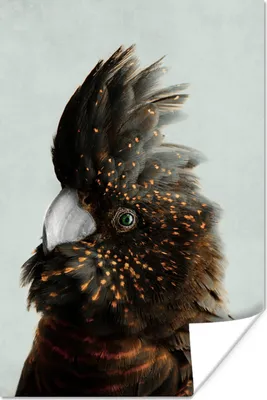 Produktbild von MuchoWow® Poster Kakadu - Vogel - Bronze 20x30 cm - Papierdruck