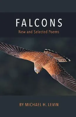 Produktbild von Falken