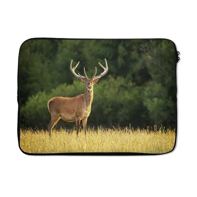 Produktbild von MuchoWow® Laptop Hülle 14 ZollHirsch - Geweih - Gras - Natur - Tiere - Grün Laptoptasche - Laptoptasche - Stoßsicher - Schutzhaube