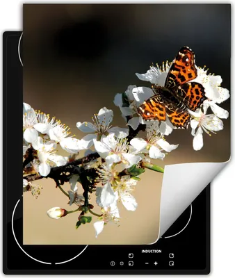 Produktbild von DarHaus Herdabdeckplatte 45x52 cm Anti Rutsch Matte Aufrollbar, Schmetterling - Blume