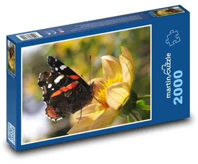 Obrázek produktu pro martinpuzzle - Puzzle 2000 - Admirál - motýl