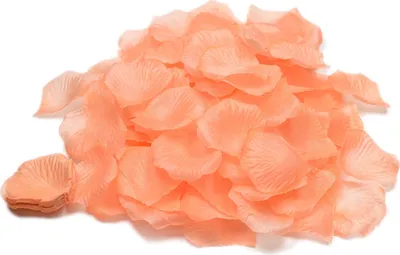 Produktbild von 100 Stück Rosenblüten 5cm, Farbe:apricot 714