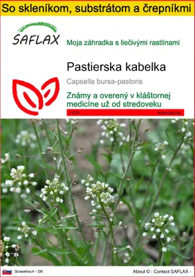 Obrázok produktu pre SAFLAX Kultivačný set - pastierska kabelka - Capsella bursa-pastoris - 1000 Semená - S mini skleníkom, pestovateľským substrátom a 2 črepníkmi