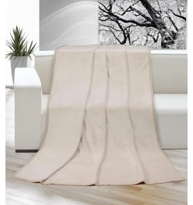 Image de Couverture micro simple 150x200cm beige