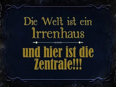 Produktbild von vianmo Holzschild 30x40 cm Welt ist ein Irrenhaus und