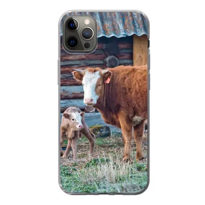 Produktbild von MuchoWow® Handyhülle Schutzhülle Hülle für iPhone 12 Pro Max Kuh - Stall - Gras - Kalb Silikon Softcase Handy Hülle - Hartschale