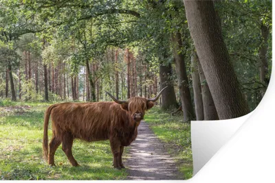 Produktbild von MuchoWow® - Wierderverwendbar - Selbstklebend
