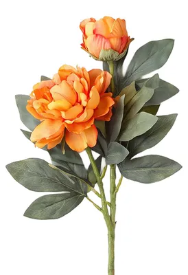 Immagine prodotto di Clayre & Eef, fiore artificiale, colore arancione, materiale: plastica