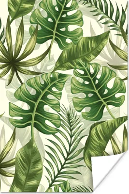 Produktbild von MuchoWow® Poster Monstera - Illustration - Weiß - Mädchen - Kinder - Jungen 80x120 cm - Papierdruck