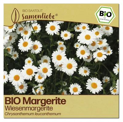 Produktbild von Samenliebe  Margerite Samen | Wiesenmargerite - winterhart & mehrjährig - samenfestes  Saatgut