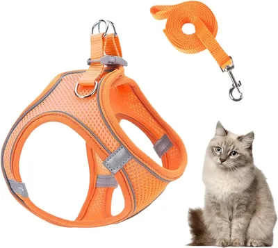 Produktbild von Verstellbares Hundegeschirr und Leinen Set | Atmungsaktives Mesh-Geschirr für Welpen und Katzen beim Wandern