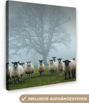 Obrázek produktu pro OneMillionCanvasses® - Obraz na plátně - Ovce - Strom - Mlha, nástěnná malba, nástěnné dekorace obrazy obývací pokoj, 20x20cm