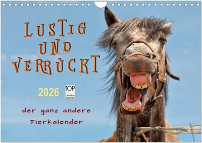 Produktbild von Lustig und verrückt - der ganz andere Tierkalender (Wandkalender 2026 DIN A4 quer), CALVENDO Monatskalender