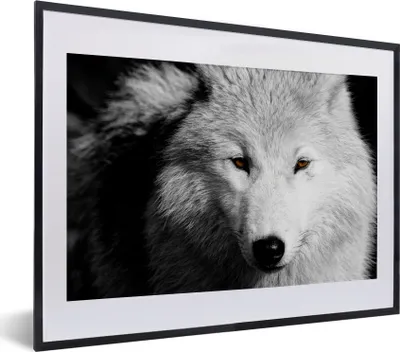 Produktbild von MuchoWow® MuchoWow® Gerahmtes Poster In der Nähe Ansicht Wolf in Schwarz und Weiß 40x30 cm - Poster mit zchwarzem Bilderrahmen - Bilderrahmen - Poster im Rahmen