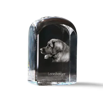 Zdjęcie produktu dla Art-Dog Przycisk do papieru – Leonberger