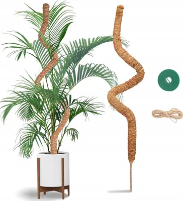 Produktbild von Kokos-Moosstab 120 cm flexible Pflanzenstütze für Kletterpflanzen