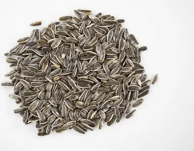Produktbild von LanDixx Sonnenblumenkerne gestreift 10 kg Vogelfutter Streufutter Wildvogelfutter Vögel