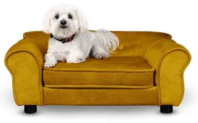 Produktbild von Mg Design Haustiersofa in Gold - stabiles Holzgestell, weich gepolstert, pflegeleicht - Hundesofa & Katzensofa, fertig montiert