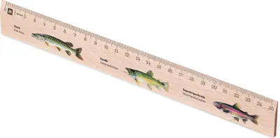 Produktbild von Metrie, Didakt-M07 Holzlineal, bedrucktes Raubfische, 25 cm