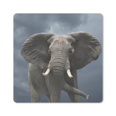 Produktbild von MuchoWow® Mauspad Mousepad Elefant - Wolken - Tiere - Natur 20x20 cm - Mousepads - Maus Mat - Pad - Mausunterlage - Desk Mat - Bureauartikeln