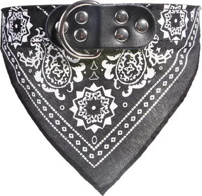 Obrázok produktu pre Obojok pre psov so šatkou Black L