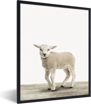 Produktbild von MuchoWow® Gerahmtes Poster Lamm - Schaf - Tiere - Kinder - Mädchen - Jungen 60x80 cm - Poster mit Schwarzem Bilderrahmen Wandposter Rahmen Foto Bilder - Premium - Wanddeko Wohnzimmer
