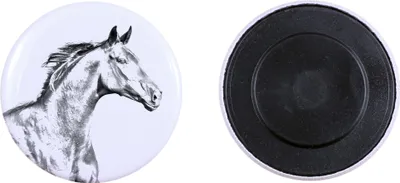 Produktbild von Zweibrücker Magnes mit einem kleinen Pferd Art-Dog