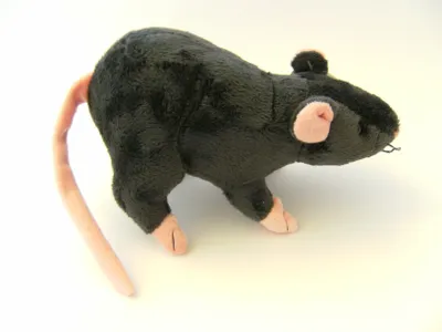 Produktbild von Plüschtier Ratte / Maus 20 cm, schwarz,  Kuscheltiere Stofftiere Ratten Mäuse Tiere Tier