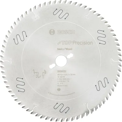 Immagine prodotto di Lama per sega circolare Bosch BS WO S 315x30-72