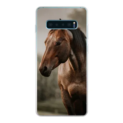Produktbild von MuchoWow® Handyhülle Schutzhülle Hülle für Samsung Galaxy S10 Plus Pferd - Licht - Wald Silikon Softcase Handy Hülle - Schutzhülle