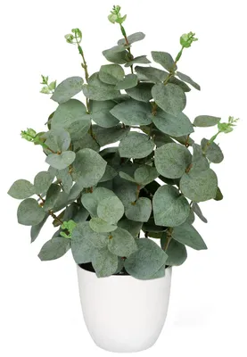 Productafbeelding van Kunstplanten, kunstmatige eucalyptusbladeren in een witte pot, 36 cm grote kunstmatige eucalyptusdecoratie voor woonkamer, slaapkamer, tafeldecoratie, badkamer, bureau, keuken