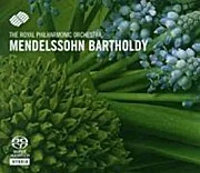 Productafbeelding van Vioolconcert / Een Midzomernachtdroom (Mendelssohn)
