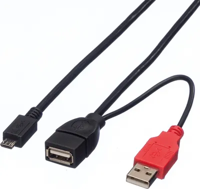 Produktbild von ROLINE USB 2.0 Y-Kabel, 2x Typ A (ST / BU) - Micro B ST, 1m