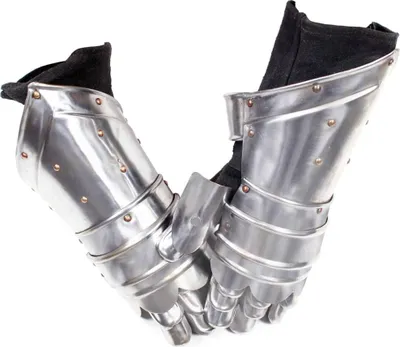 Obrázok produktu pre vidaXL Stredoveké rukavice Replika LARP Silver Steel