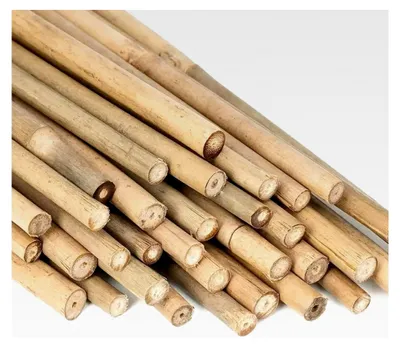 Produktbild von 30 Bambusstäbe 180 cm Durchmesser 12/14 mm, Stütze
