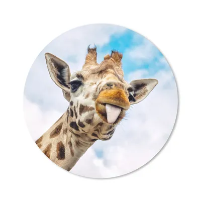 Produktbild von MuchoWow® Mauspad Mousepad Giraffe - Lustig - Zunge - Kinder - Jungen - Mädchen - Kind 50x50 cm - Mousepads - Maus Mat - Pad - Mausunterlage - Vinyl