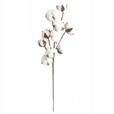 Produktbild von Natural Plant Bawełna Branch Schöne Dekoration 1Pc Restaurant Salon 53Cm