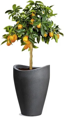 Produktbild von Famanu Pflanzenkübel Schwarz-Granit - 29,8 cm Durchmesser - 40 cm hoch
