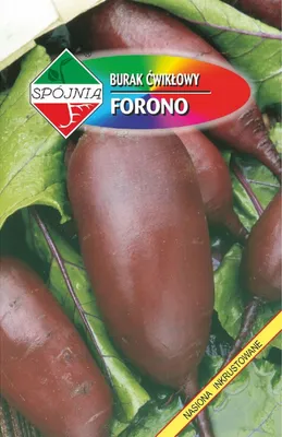 Zdjęcie produktu dla NASIONA Burak Ćwikłowy Forono 12g SPÓJNIA 700138