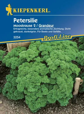 Produktbild von Petersilie Grandeur | Petersiliensamen von Kiepenkerl [MHD 01/2024]