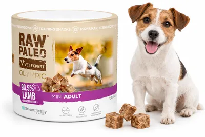 Obrázek produktu pro Pamlsek pro psy VetExpert Raw Paleo Olympic, jehněčí maso, mini, 90 g