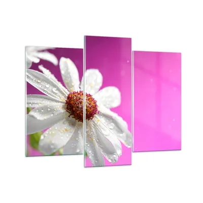 Produktbild von Bilder auf glas - Blume frühling garten - 130x100cm - Glasbilder - Wandbilder - Kunstdruck - zum Aufhängen bereit - Wanddekoration aus Glas - Glas Bilder - Wandbild auf Glas - GCB130x100-2469