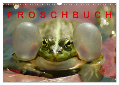 Produktbild von FROSCHBUCH (Wandkalender 2027 DIN A3 quer), CALVENDO Monatskalender